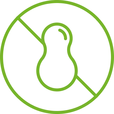 Nuts Free Icon Nuts Free Icon